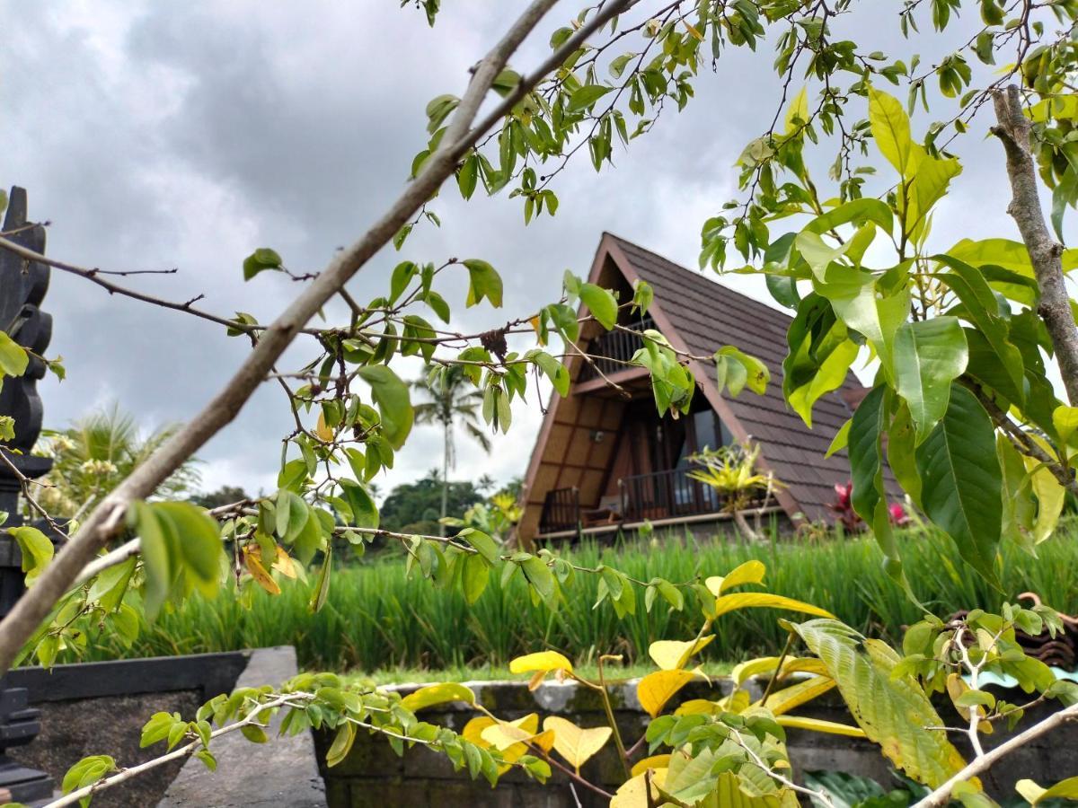 Magical Breeze Cabin Angsri 外观 照片
